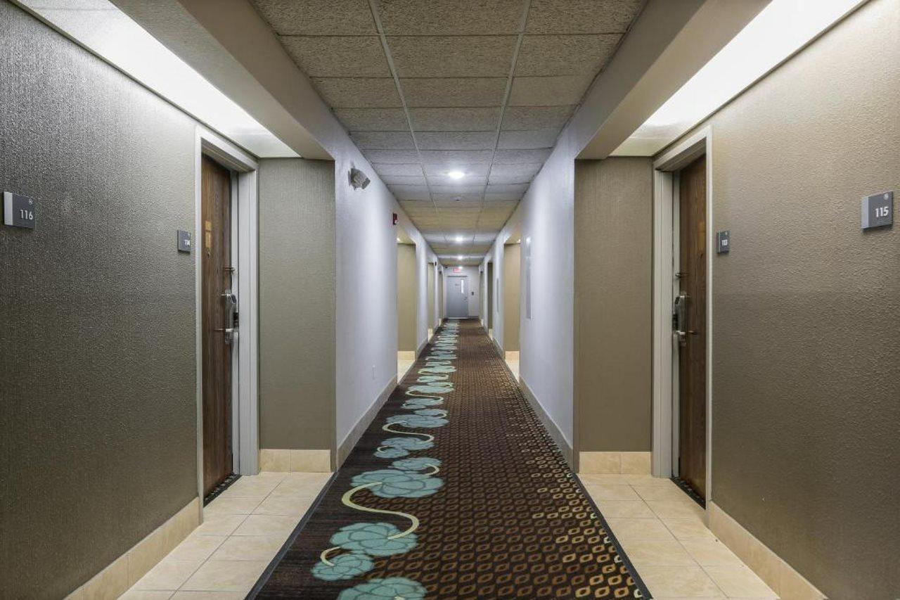 Hotel Bliss Point &